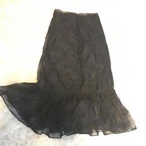 Sandra Mansour H&M Embroided Organza
Flare Skirt